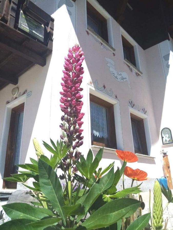 Baita Stella Alpina Livigno Bagian luar foto